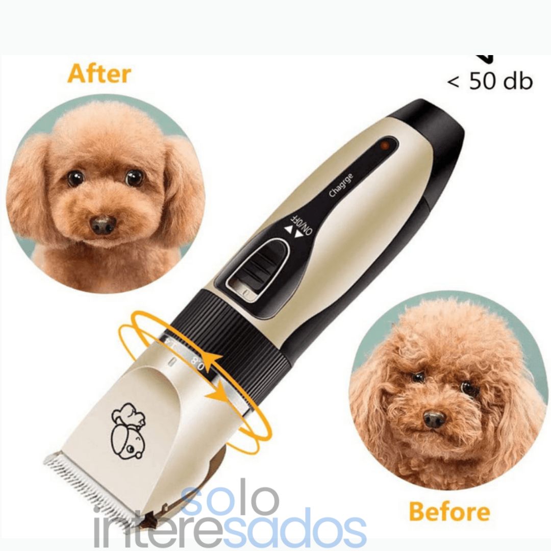 PETTRIMP PRO, ABEJON PARA MASCOTAS