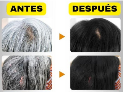 CHAMPÚ TINTE PARA CUBRIR LAS CANAS 500ML, 3-IN-1 NEGRO