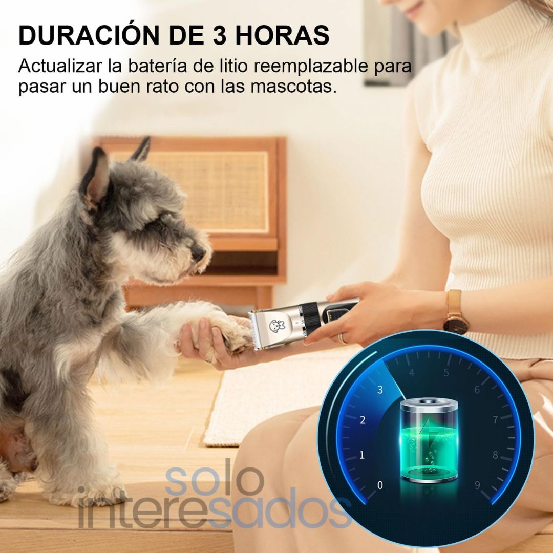 PETTRIMP PRO, ABEJON PARA MASCOTAS