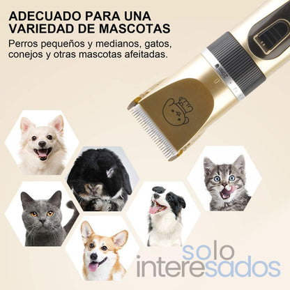 PETTRIMP PRO, ABEJON PARA MASCOTAS